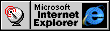 Pgina de Microsoft Explorer 4.0